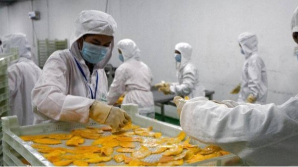 食品级润滑油如何确保芒果干安全生产
