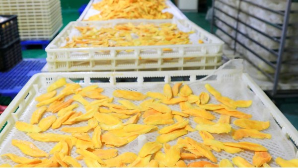 食品级润滑油如何提高芒果干生产效率