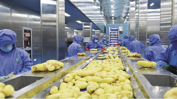 食品级润滑脂如何提高薯片生产设备的工作效率