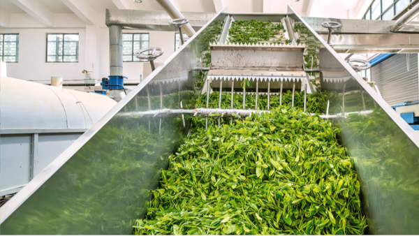 茶叶加工各工序需加注食品级润滑脂的设备