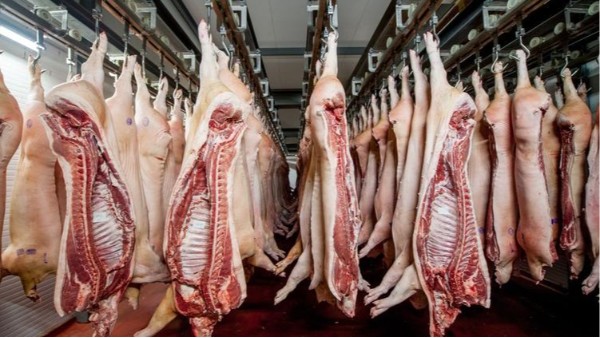 食品级润滑油在生猪悬挂机上的应用