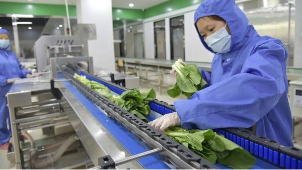 生鲜加工的哪些设备需要食品级润滑油
