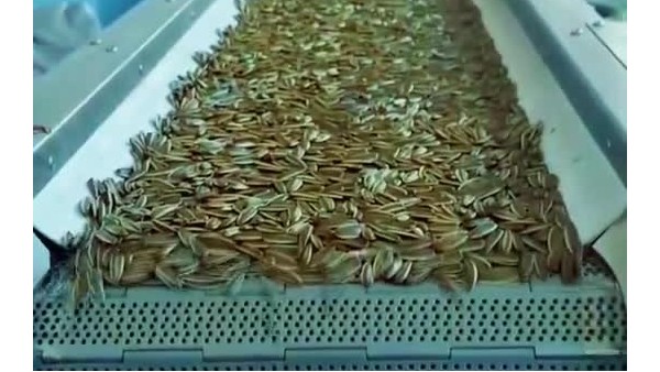瓜子生产设备如何选择合适的食品级润滑油