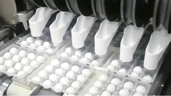 如何为汤圆生产设备选择合适的食品级润滑脂