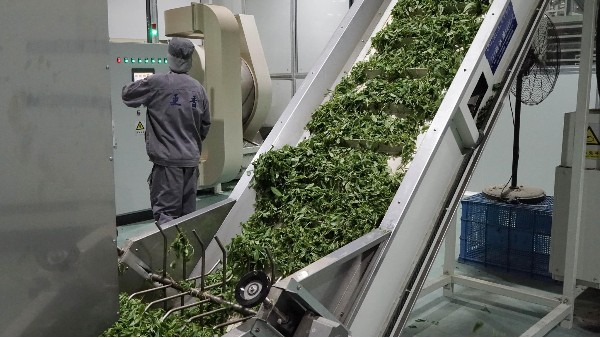 食品级润滑油在茶叶生产中的应用