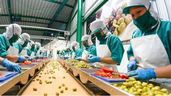 食品级润滑脂的价格受什么因素影响