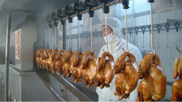 食品级润滑脂：炸鸡生产设备的安全润滑核心