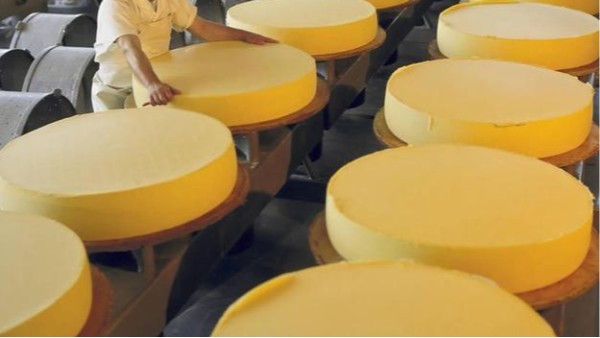 食品级润滑脂如何确保奶酪设备生产的安全