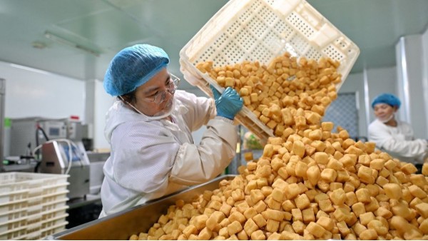 食品级润滑油如何提高油豆腐生产的效率