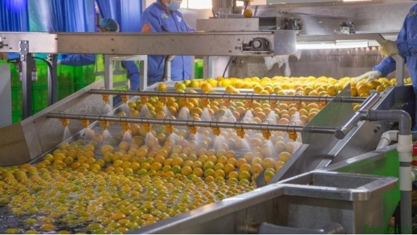 食品级润滑油如何确保生鲜加工过程安全可靠