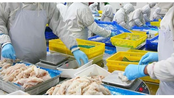 食品级润滑油在生鲜加工的哪些设备上应用