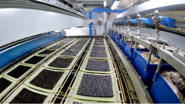 海苔生产如何选择合适的食品级润滑油