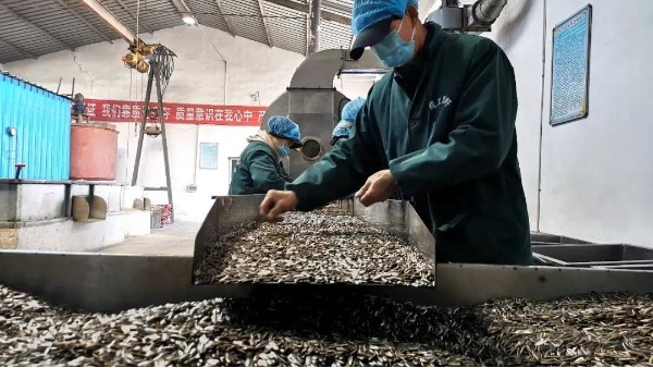 食品级润滑油如何确保瓜子生产效率