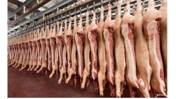 食品级润滑油如何确保猪肉脯生产安全