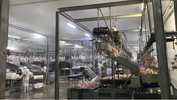齿轮油：可靠的食品级生产厂家