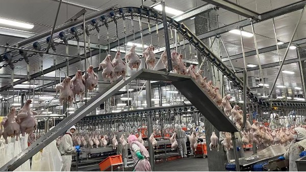 食品级齿轮油购买指南