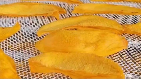 芒果干生产线 —— 食品级润滑油应用设备清单