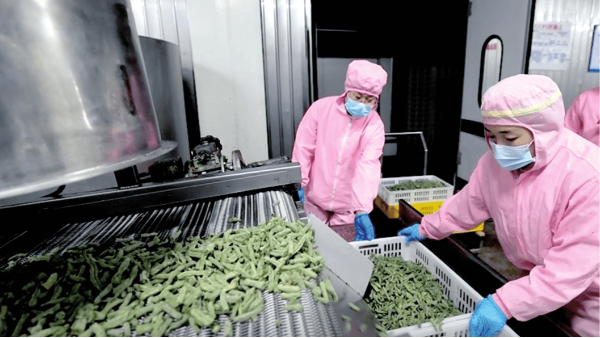 食品级链条油：预制菜链板输送机的“安全传动守护者”