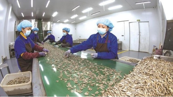 食品级润滑脂在瓜子生产设备上的应用