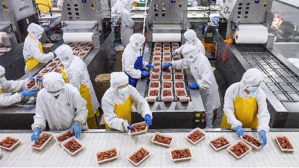 食品级润滑脂用于食品设备维保的核心益处