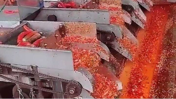 食品级润滑油在辣椒酱生产中的应用